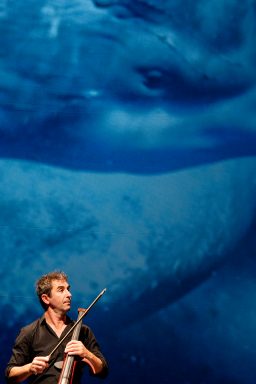 © Beatriz Azorin et Matthieu Parent